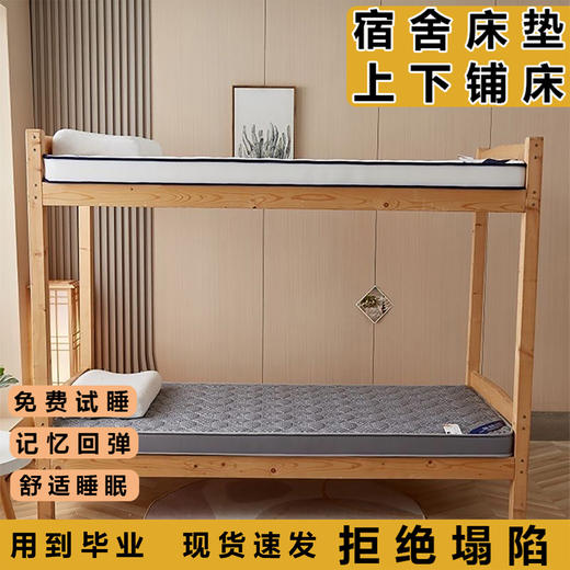 【透气抗菌不闷热、高密度记忆回弹】宿舍床垫上下铺床垫学生寝室床垫单人床铁床床垫加厚宿舍神器透气.TA 商品图2