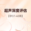 孕晚期超声深度评估 商品缩略图0