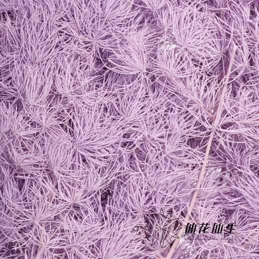 永生花材 | 蓬莱松香芋紫 商品图2