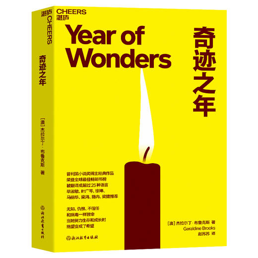 奇迹之年 普利策小说奖得主经典作品 荣登全球zui佳畅销书榜，被翻译成超过25种语言 商品图1