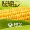 食验室 繁花金桂奶酪玉米片 40g/包 商品缩略图1