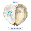 乳山生蚝 无公害养殖海域 名特优新农产品 地理标志 商品缩略图8