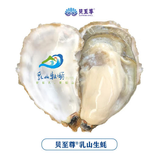 乳山生蚝 无公害养殖海域 名特优新农产品 地理标志 商品图8