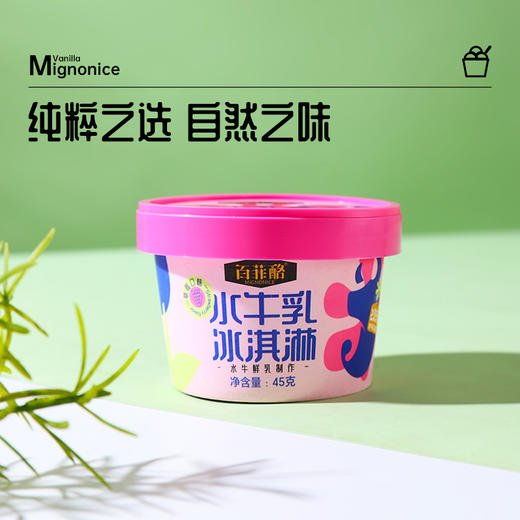 百菲酪水牛乳冰淇淋 经典口味/奶茶风味/杯装冰淇淋雪糕 商品图2