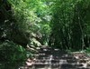 4.25【都江堰青城山】萤火虫之约！仲夏夜之梦亲子徒步 商品缩略图5