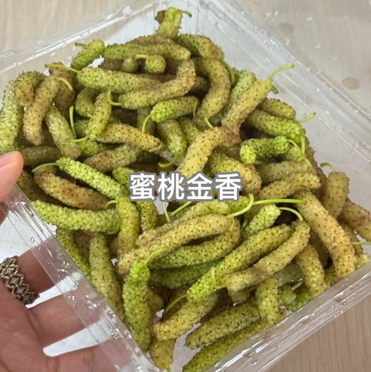 【斌哥优选】阳光果桑。树上自然熟桑葚，甜甜甜，柔柔柔，嫩嫩嫩。四川大凉山限有，果粒饱满，一口软嫩爆汁！ 商品图2