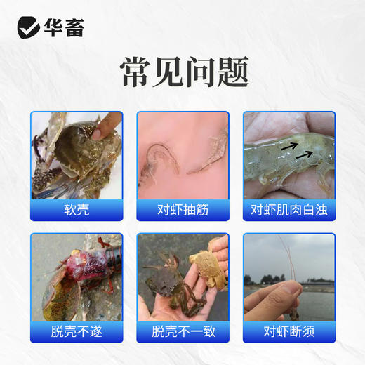 华畜脱壳素500g 可溶性钙脱壳硬壳快 补充钙磷镁等微量元素 商品图1