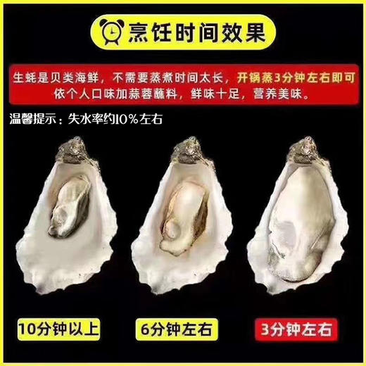 乳山生蚝 无公害养殖海域 名特优新农产品 地理标志 商品图2