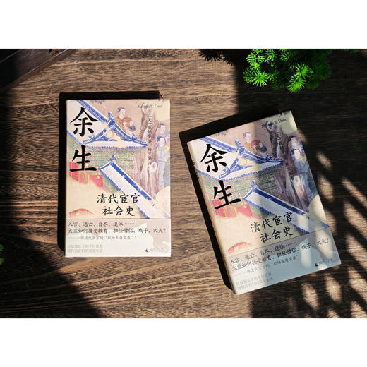 余生：清代宦官社会史 商品图5