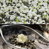 企鹅吃喝|福建花果香原叶茶 时令鲜花鲜果窨制乌龙茶绿茶 5种风味 佛手柑/柚子花/栀子花/桂花/茉莉龙珠 商品缩略图11