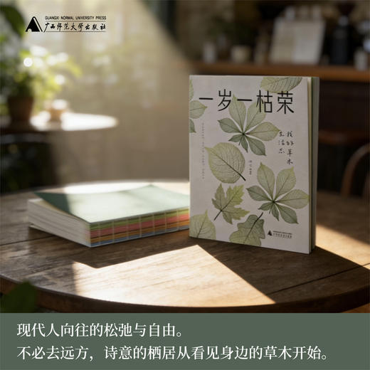 一岁一枯荣：我的草木生活志（附赠四季手账） 商品图1