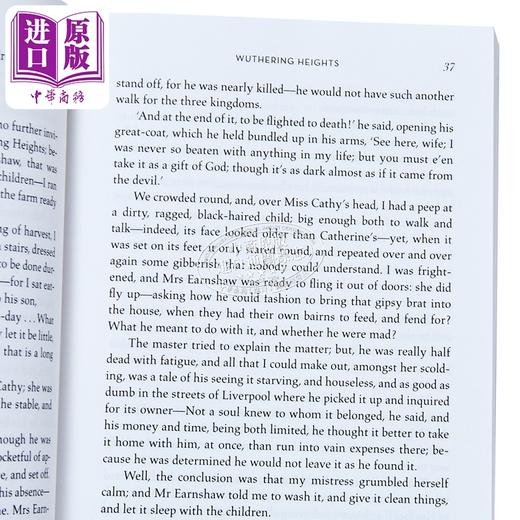 【中商原版】呼啸山庄 电影版 经典文学 Wuthering Heights Movie Tie In 英文原版 Emily Bronte 商品图2