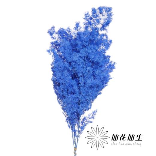 永生花材 | 蓬莱松湖蓝色 商品图0