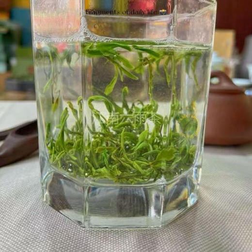 【六雨严选】2026年新茶碧螺春上市！宜兴碧螺春工艺超级福利！抢到尝鲜！！ 商品图5