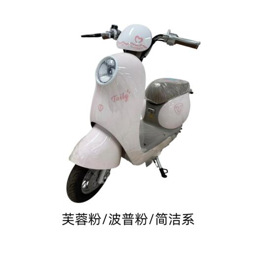 美点-台铃-繁花新新材料版 商品图1