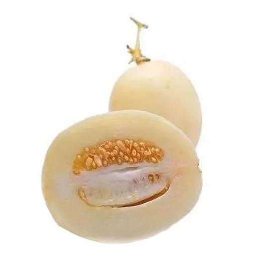 蜜罐甜瓜（550±50g)香瓜 商品图1