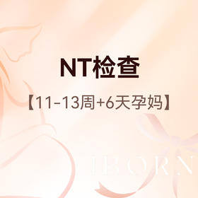 NT检查丨家属陪同+胎儿照片1张