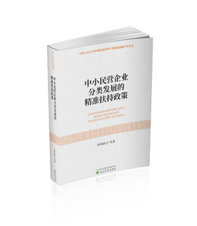 中小民营企业分类发展的精准扶持政策