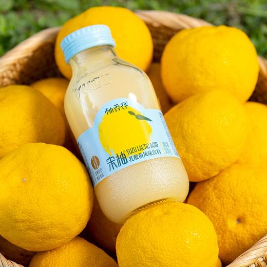 【华东精选商城】柚香谷宋柚300g*20瓶乳酸菌味饮料柚子风味0脂饮品 商品图3