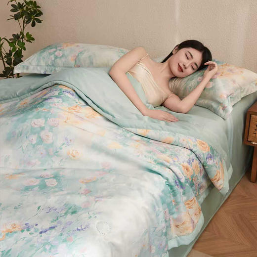“带夏被！一套搞定整个床品”浪莎 艾草水洗凉感丝空调被4件套-梦江南 商品图0