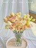 【四月宜养花】火烈鸟马蹄莲5支+香槟色洋桔梗7-10朵+紫色系洋桔梗或粉色系7-10朵+送小绣球1支/份（绣球容易脱水送的不售后） 商品缩略图5