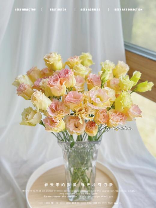 【四月宜养花】火烈鸟马蹄莲5支+香槟色洋桔梗7-10朵+紫色系洋桔梗或粉色系7-10朵+送小绣球1支/份（绣球容易脱水送的不售后） 商品图5