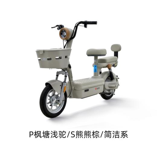 美点-台铃-大果粒新新材料版 商品图2