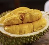 D197猫山王榴莲肉 整颗榴莲肉  树熟采摘，极冻锁鲜，绵软香甜 商品缩略图2