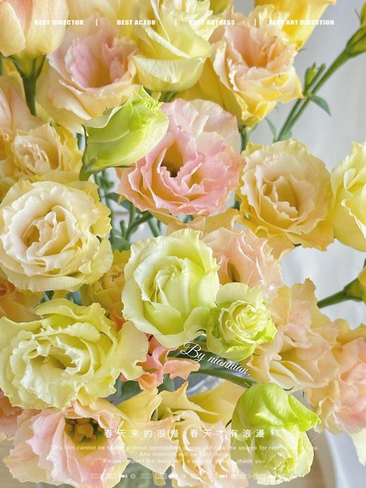 【四月宜养花】火烈鸟马蹄莲5支+香槟色洋桔梗7-10朵+紫色系洋桔梗或粉色系7-10朵+送小绣球1支/份（绣球容易脱水送的不售后） 商品图7