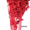 永生花 | 高梁红色 商品缩略图2