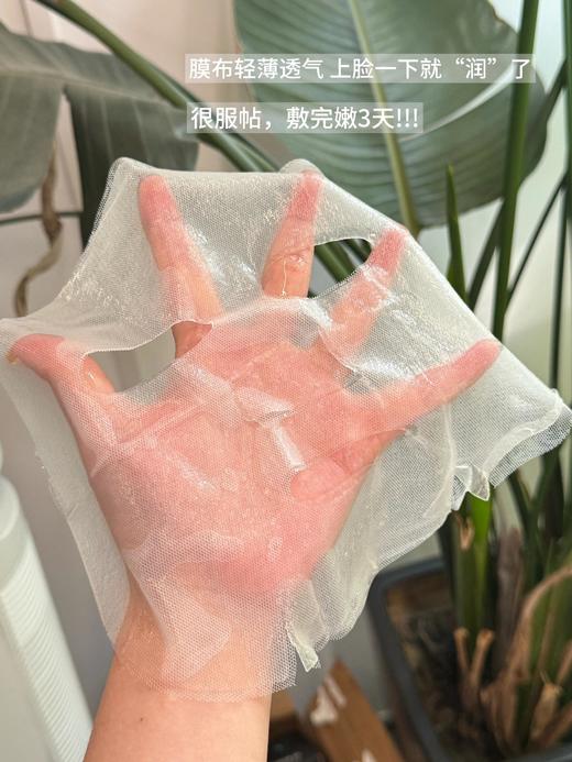 沙漠皮润起来了~LAN兰油蜜面膜时光兰花保湿滋润修护舒缓油敷膜5片装 商品图3