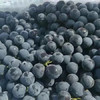现货 蓝莓葡萄2斤装 商品缩略图1