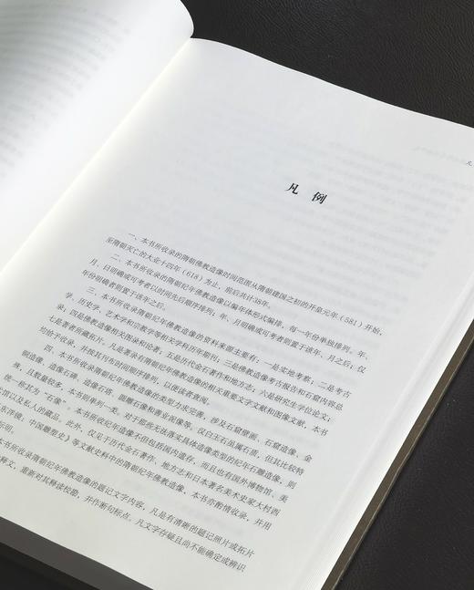 【新书推荐】《隋朝佛教造像艺术编年史》，精装，16开，龙红等编著，河南美术出版社2026年一版一印，584页，定价280元，售价：224元。 商品图2