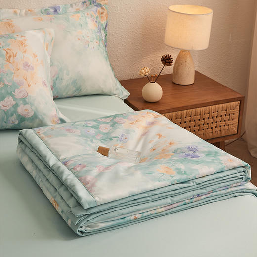 “带夏被！一套搞定整个床品”浪莎 艾草水洗凉感丝空调被4件套-梦江南 商品图3