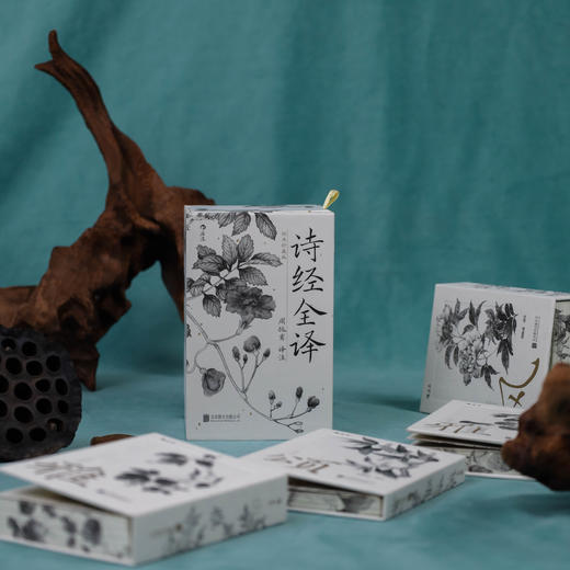 【礼盒刷边版+赠原木梳】诗经全译(全四册mini珍藏版) 白话全译 商品图1
