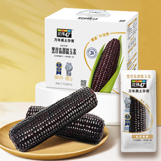 北纬47°黑珍珠甜糯鲜玉米200g*10/盒 商品图3