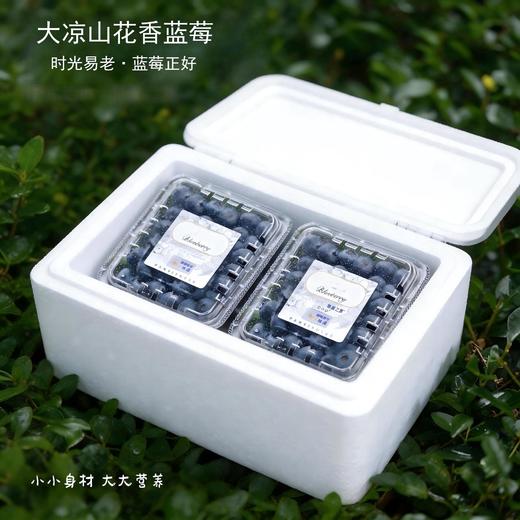 【大凉山花香蓝莓】当季鲜果 可遇不可求的好货 ，果粉好 颗粒大，口感很赞 风味十足 商品图1