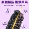 一品玉 新疆黑桑葚干 100g/包 商品缩略图2
