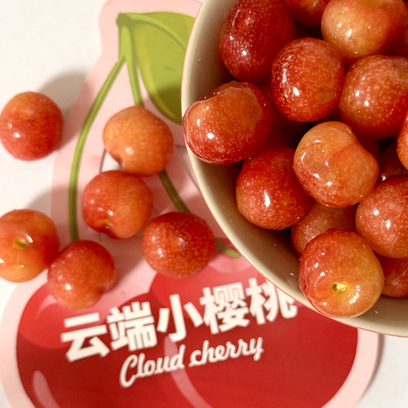四川冕宁 云端小樱桃 酸甜清爽 鲜嫩多汁