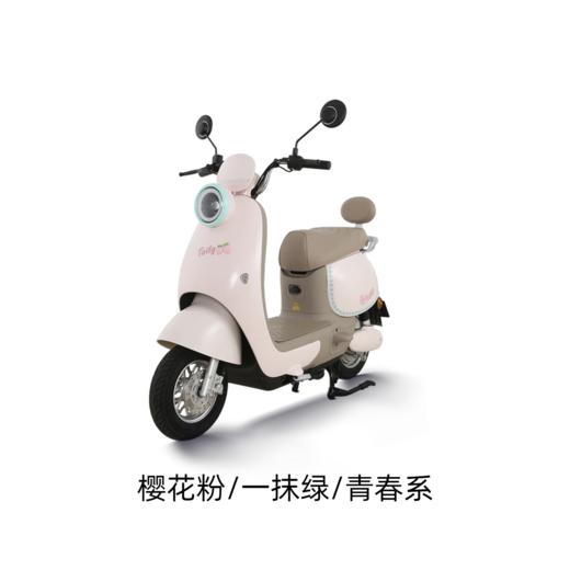 美点-台铃-初恋新新材料版 商品图1