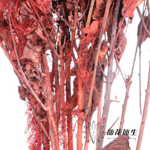 永生花材 | 雾中情人红色 商品图1