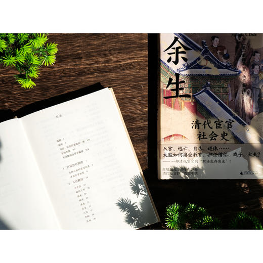 余生：清代宦官社会史 商品图7