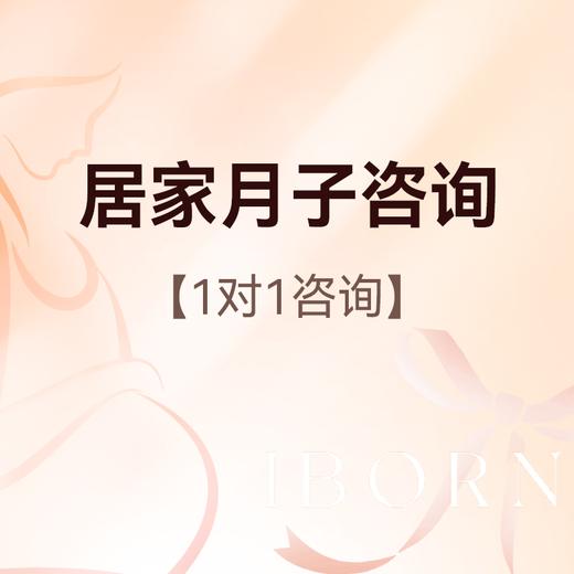 居家月子1对1咨询服务 商品图0