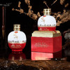 【买一送一】宜宾五粮液*酿神*红白坛 52度浓香型白酒 商品缩略图0