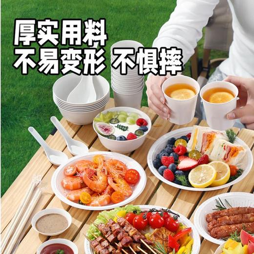 美丽雅一次性稻欢餐具套装 商品图0
