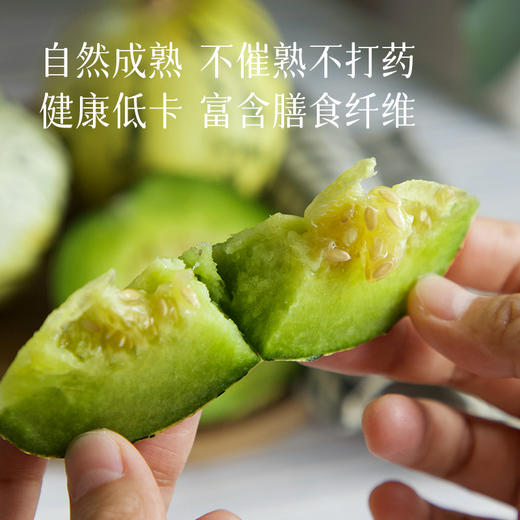 【会员日福利】【现摘现发 好吃的甜瓜】肉厚细腻 清甜无渣 瓜香浓郁 果肉越放越绵软~ 商品图3