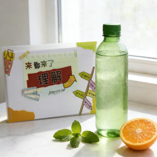 文件袋“理解一下” 商品图6