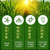 大荒印象一级压榨玉米油1.8L 商品缩略图2