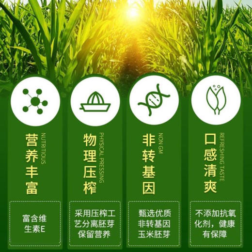 大荒印象一级压榨玉米油1.8L 商品图2