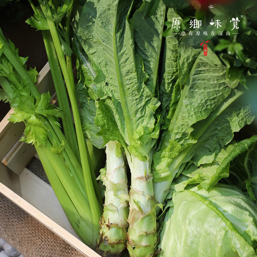 生态蔬菜组合（莴笋/带壳豌豆/带壳蚕豆/生态西芹/生态莲花白）（农场直发-顺丰包邮）|多种规格，来自成都郫都，生产者：原乡生态农场 商品图5